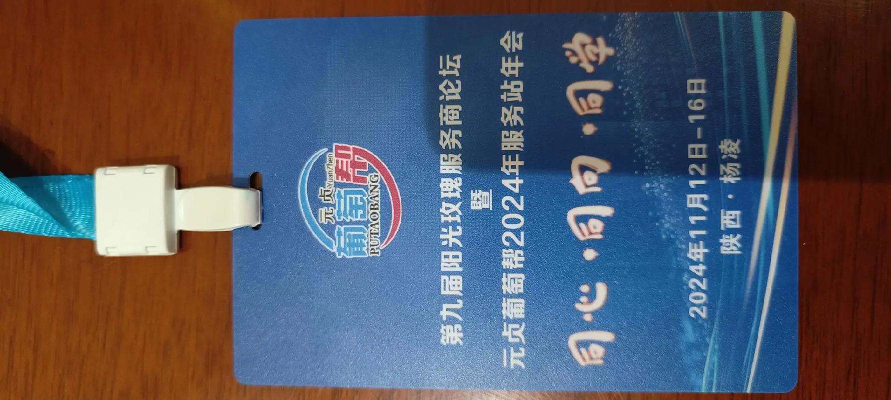 #元贞葡萄帮,2024年服务站年会